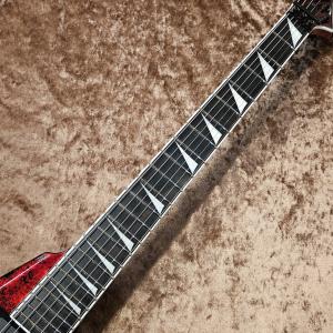 EDWARDS E-ARROW-FR CTM ...の詳細画像3