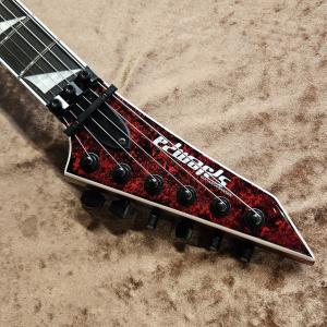 EDWARDS E-ARROW-FR CTM ...の詳細画像4