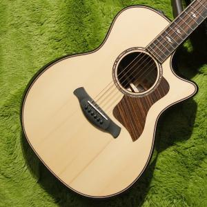 Taylor アコースティックギター ギターケース付き 2025年最新】taylor ギターケースの人気アイテム - メルカリ