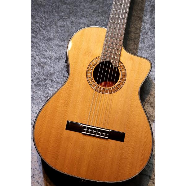 Martinez MP-12 MH 【サンプル写真】【杉・マホガニー】【エレガット】【池袋店在庫品】