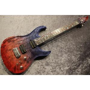 Giulio Negrini Guitars ...の詳細画像1