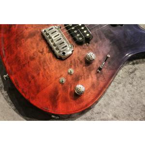 Giulio Negrini Guitars ...の詳細画像2