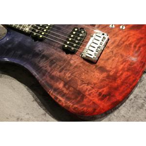 Giulio Negrini Guitars ...の詳細画像3