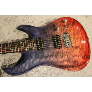 Giulio Negrini Guitars ...の詳細画像4
