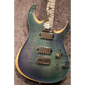Giulio Negrini Guitars (GNG) Custom Order Brea Carved 6 Custom Theme Inlay 
