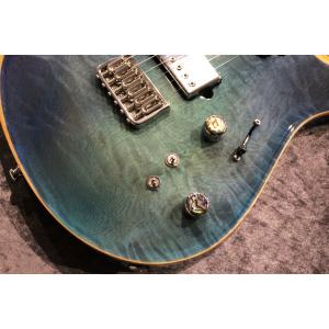 Giulio Negrini Guitars ...の詳細画像2