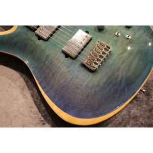 Giulio Negrini Guitars ...の詳細画像3