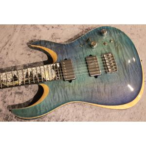 Giulio Negrini Guitars ...の詳細画像4