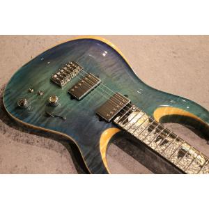 Giulio Negrini Guitars ...の詳細画像5