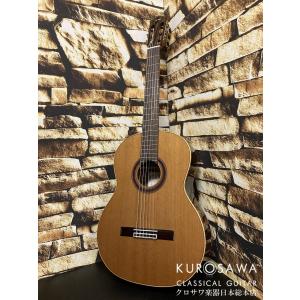 Ibanez（アイバニーズ） PC33CE NT アコースティックギター エレアコ
