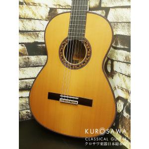 Pearl Pearl PTC-1175N (トラベル・コンガ）11 3/4