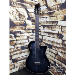 Ibanez（アイバニーズ） Ibanez ACFS380BT - OPS ( Open Pore Semi