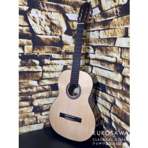 Orpheus Valley Guitars オルフェウス・ヴァレー・ギターズ Romida RD-S 松・ローズウッド【日本総本店2F在庫品】