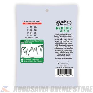 Martin Authentic Acoust...の詳細画像1
