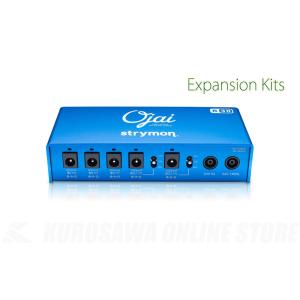 strymon FLINT ［ストライモン/フリント］ : 昭和32年創業の老舗