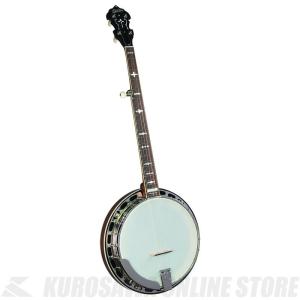 エピフォン Epiphone MB-100 バンジョー【CL】 : EbiSound ギターと
