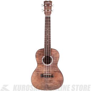Ibanez（アイバニーズ） Ibanez EWP14WB-OPN (Open Pore Natural