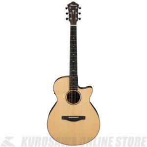 Nashville by SAMICK FP-1000 Acoustic Guitar エレアコ アコギ -GRUN