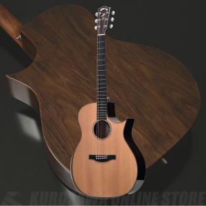 Headway Japan Tune-Up Series HGAF-5100SE/FMH-C Natural 《アコギ
