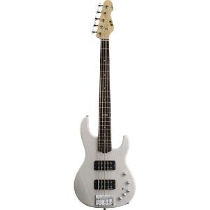 Providence aRB-108M5 NAT (Natural) (5弦ベース)(送料無料)(受注生産