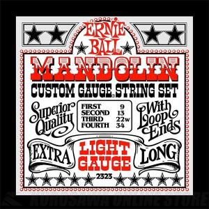 ERNIE BALL #2323 Light Loop End Stainless Steel Mandolin Guitar Strings(マンドリン弦)(ご中）（ONLINE