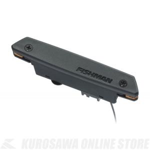 送料無料) Fishman フィッシュマン Rare Earth Mic Blend Soundhole 