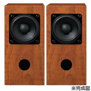 FOSTEX FE126NV2 [2個1組販売] (フォステクス 12cm口径フルレンジ