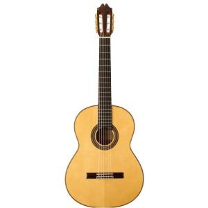 ARIA（アリア） Aria F130 Acoustic Guitar 1970年代 アコースティック