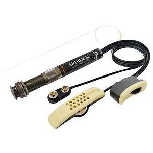 L.R.Baggs Anthem SL【ONLINE STORE】