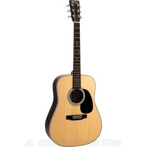 Greg Bennett ASDM ハードケース付き Acoustic Guitar