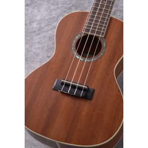 NS Design NXT4a-BK NXT Cello 4st Black《エレキチェロ》 【送料無料
