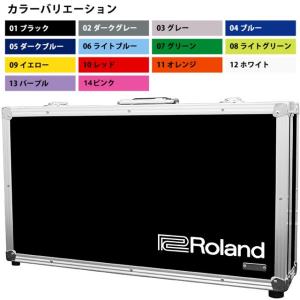 Roland TB-JDXI JD-XI用ハードケース (受注生産品)(送料無料)【ロゴの有無/カラーをお選び下さい】【ONLINE STORE】