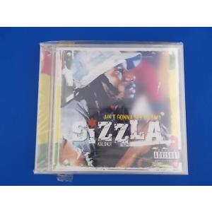 CD/Sizzla シズラ/Ain't Gonna See Us Fall/中古/cd23567