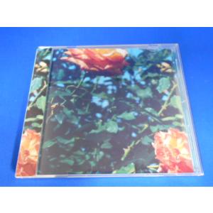 CD/globe グローブ/Relation リレーション/中古/cd25204
