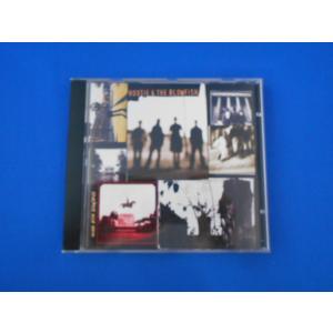 CD/フーティー・アンド・ザ・ブロウフィッシュ/Cracked Rear View クラックド・リア...