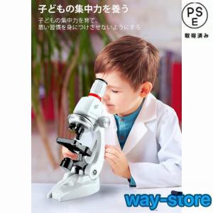 顕微鏡 100?1200倍 標本*48付き 学...の詳細画像1