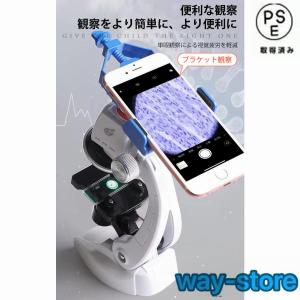 顕微鏡 100?1200倍 標本*48付き 学...の詳細画像5