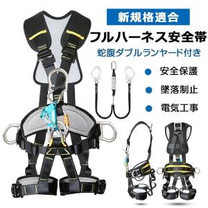 墜落制止用器具 新規格適合 (フルハーネスセット...の商品画像