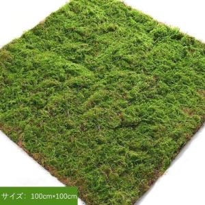 よりリアル感 モス 人工苔 苔マット フェイクグリーン 人工植物 造花 芝生マット