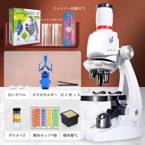 【進学祝い】 ブラックフライデー お子様、お孫さ...の商品画像