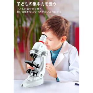 【進学祝い】 ブラックフライデー お子様、お孫...の詳細画像1