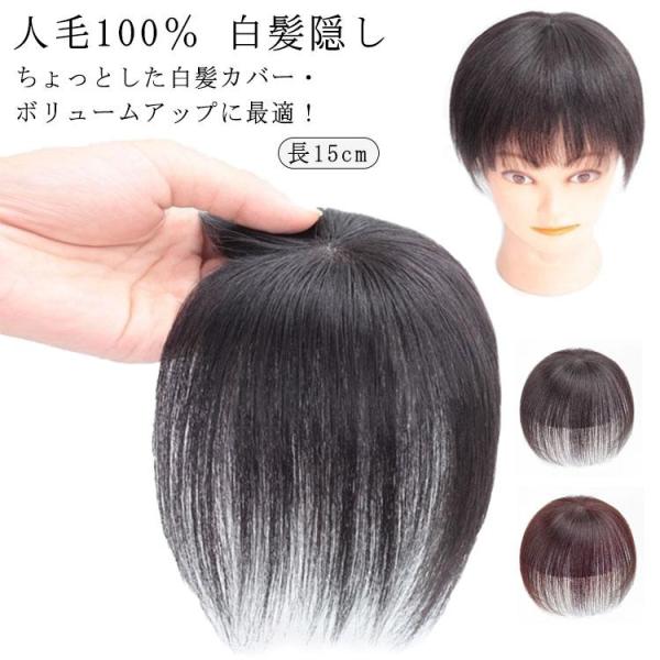 ウィッグ 部分ウィッグ 人毛100％ 白髪隠し 長15cm ヘアピース ミセス 自然 部分かつら 薄...