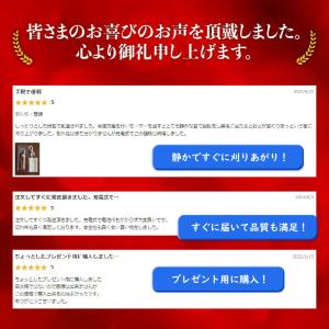 鼻毛カッター 男性 女性 充電式 usb 静音...の詳細画像1