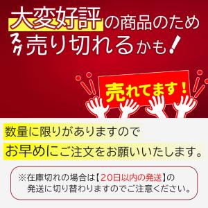 モニター台 卓上 パソコン台 50cm パソコ...の詳細画像1