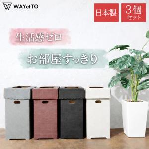 ゴミ箱 45リットル 3個セット おしゃれ 分別 屋外 ダストボックス 車 スリム キッチン 45l 分別ゴミ箱 30l 卓上 生ごみ 使い捨て 爆買