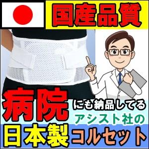ASSiST（アシスト） 腰痛ベルト コルセット 腰痛サポートベルト