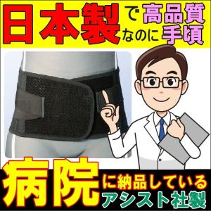 送料無料】モリタホールディングス 腰部サポートウェア ラクニエ
