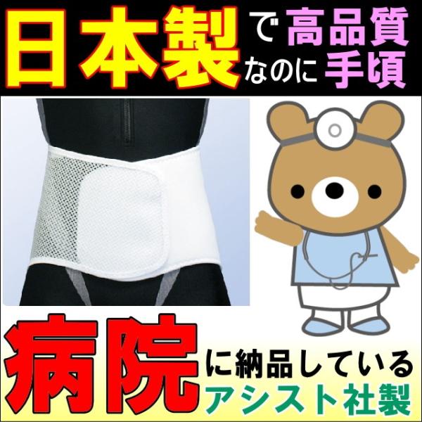 腰痛ベルト コルセット 腰痛サポートベルト サポーター プロガードライト メッシュ アルミステイ 骨...