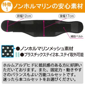 今日も当日発送 腰痛ベルト コルセット 腰痛サ...の詳細画像4