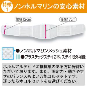 今日も当日発送 腰痛ベルト コルセット 腰痛サ...の詳細画像4